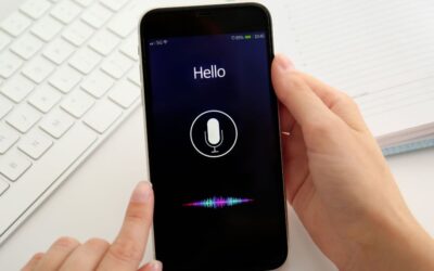 Can Machine Learning Be Used to Generate Synthetic Dialect Data?